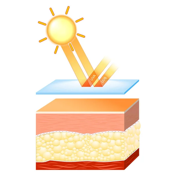 Protezione UV per pelli sensibili . — Vettoriale Stock