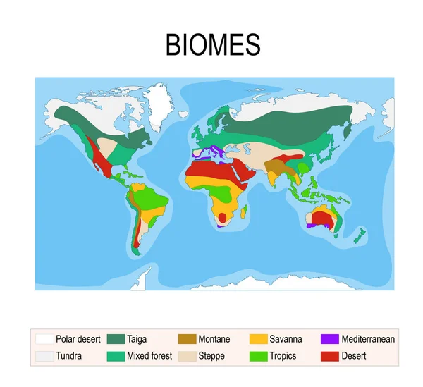 Biomas. Ecosistema terrestre — Vector de stock