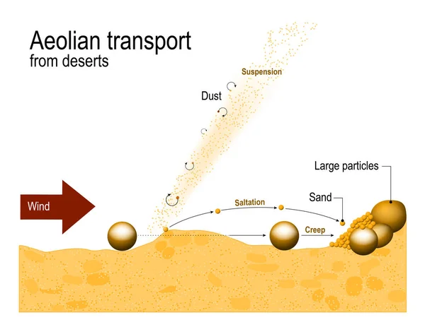 Aeolian transport from deserts. Aeolian processes — Stock Vector