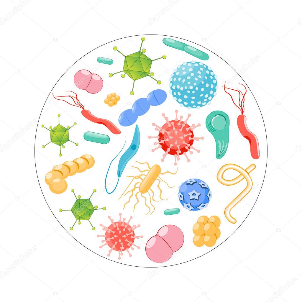 Pathogens shapes. Bacteria, germ, virus set — Stock Vector © edesignua