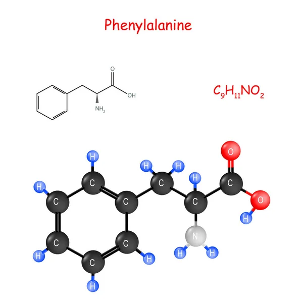 Fenilalanina. Fórmula estrutural química e modelo de molécula —  Vetores de Stock