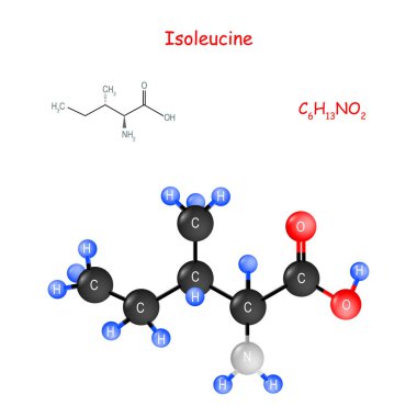 Isoleucine önemli bir amino asittir. Kimyasal yapısal biçim