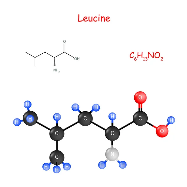 Leucina. Fórmula estrutural química e modelo de molécula —  Vetores de Stock