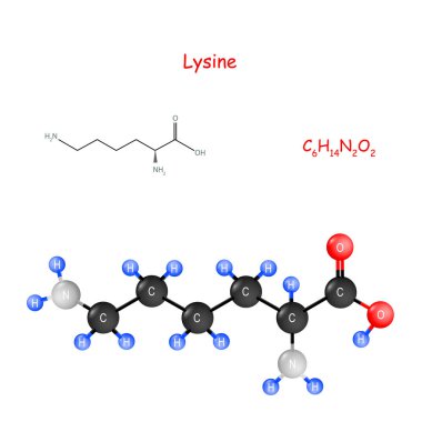 Lysine. Chemical structural formula and model of molecule. clipart