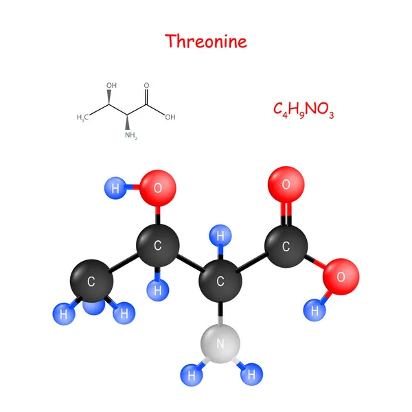 Threonine. Molekülün kimyasal yapısal formülü ve modeli. — Stok Vektör