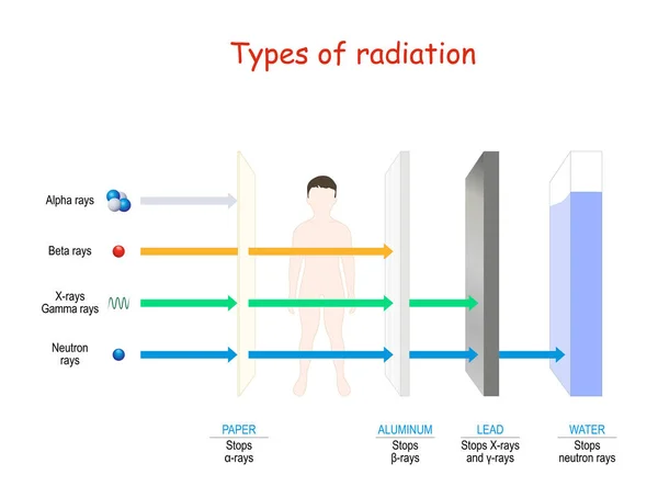 Types of radiation. penetrating power through paper, human, alum — Stock Vector