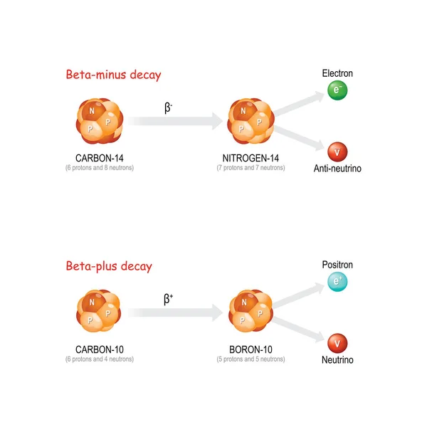 Beta-plus y Beta-menos decaimiento . — Vector de stock