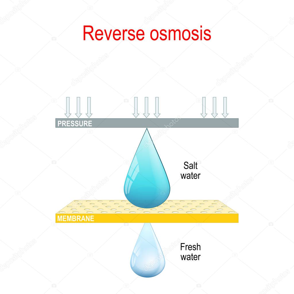 reverse osmosis. two drops of  water and membrane.