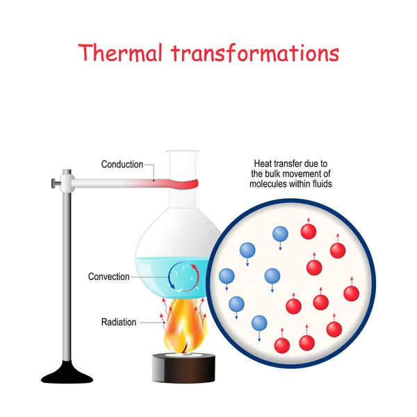 Thermal transformations. Forms of Energy, Transformations of Ene — Stock Vector