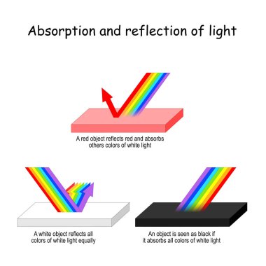 Color light Absorption and reflection. clipart