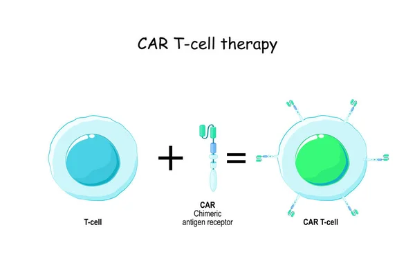 T-cell och Chimeric antigen receptor (bil). — Stock vektor