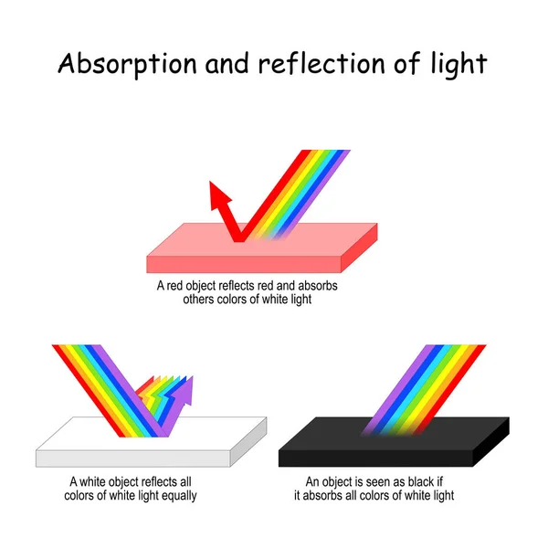 Luz de color Absorción y reflexión . — Vector de stock