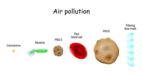 コロナウイルスから人を守るマスクができる 小さな粒子 ウイルスや細菌をフィルタリングフェイスマスク ウイルス 赤血球の大きさ 顔マスクの組織などの病原体の大きさを比較します — ストックベクタ