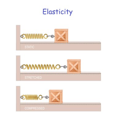 elastic potential energy. Elasticity. Hooke's law. potential and kinetic energy. energy conversion clipart