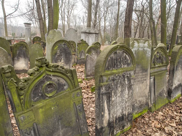 Židovský hřbitov v ulici Okopowa ve Varšavě — Stock fotografie