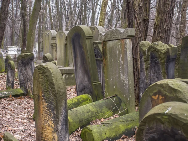 El cementerio judío en la calle Okopowa en Varsovia —  Fotos de Stock