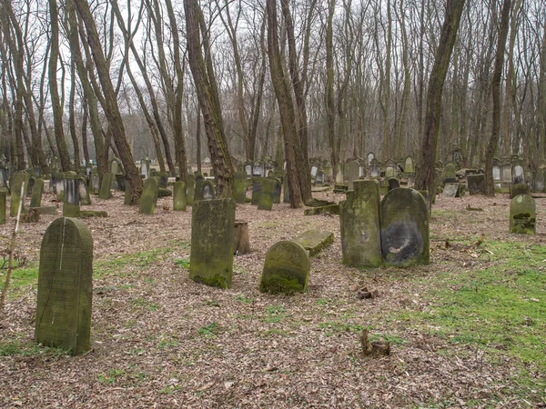 Den judiska kyrkogården på Okopowa Street i Warszawa — Stockfoto