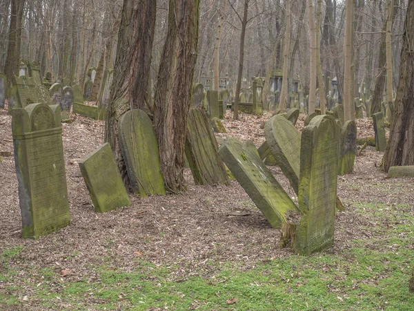 Der jüdische Friedhof in der Okopowa-Straße in Warschau — Stockfoto