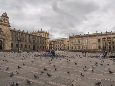 Güvercinler. Güvercinler ve turistler de Bogota Bolivar meydanında