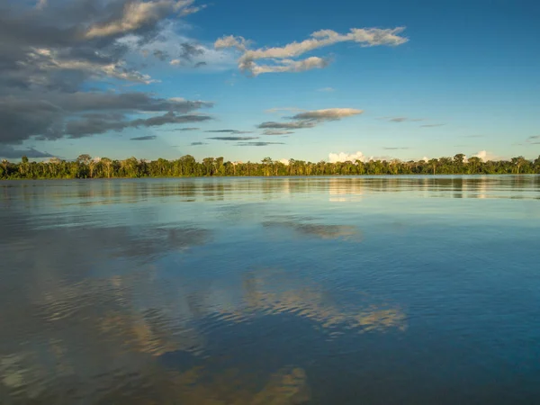 Amazone. Mooie, corolful en gediversifieerd landschap over de Amazone-rivier — Stockfoto