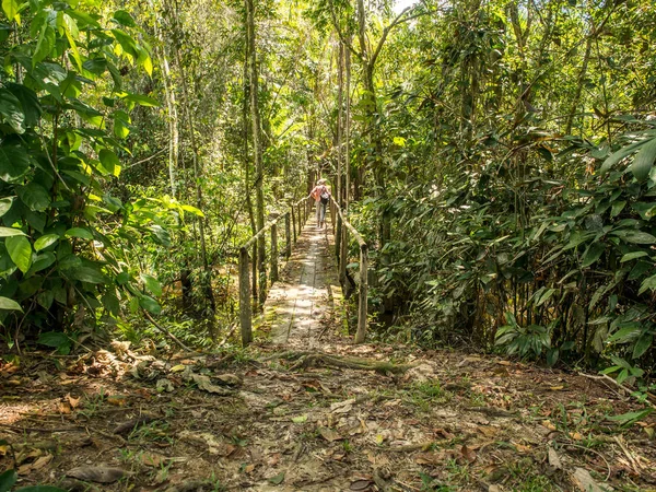 Puente en la selva. Turista en un puente estrecho en la selva amazónica — Foto de Stock