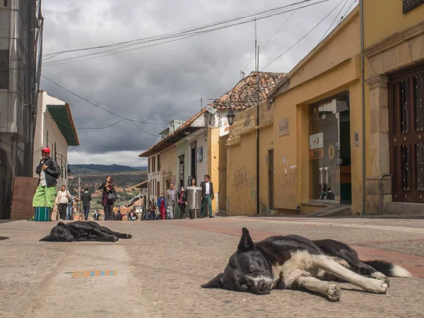 Rua de Tunja. Os habitantes da cidade e os turistas andando pelas ruas da cidade . — Fotografia de Stock