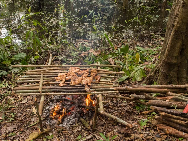 Lagoon Jaguar Brazylia Maja 2016 Przygotowanie Posiłku Dżungli Amazonki — Zdjęcie stockowe