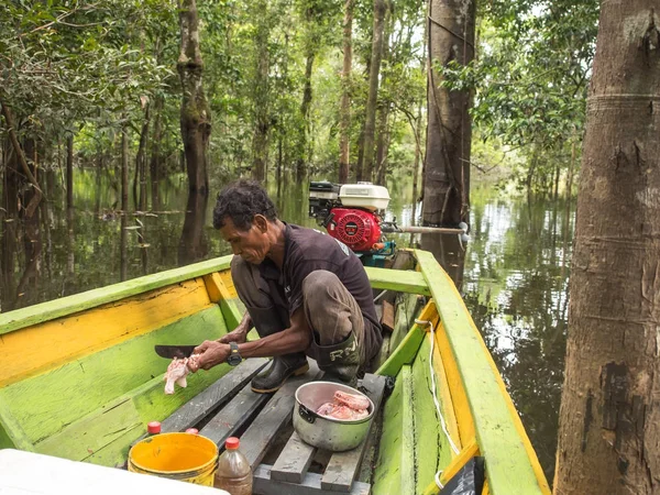 Picnic en la selva —  Fotos de Stock