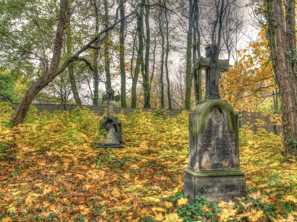 Осень на кладбище — стоковое фото