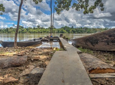 Peru Amazon yağmur ormanlarında Javari Nehri'nin görünümü