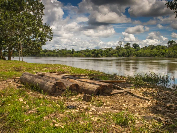 Uitzicht op de rivier, Amazon — Stockfoto