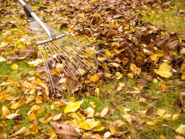 Bahçe sonbahar çalışmaları