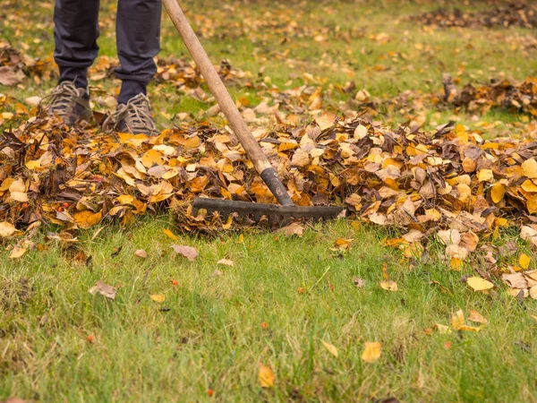 Giardino autunno opere — Foto Stock