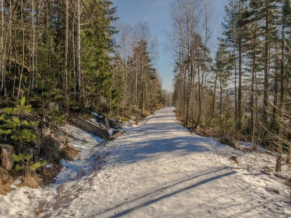 Karla kaplı bir yol