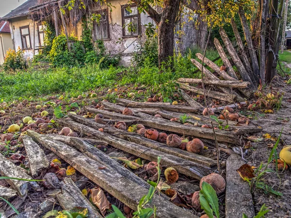 Wolka Zamkowa 2016年8月14日 木篱芭在被废弃的农舍旁边 — 图库照片