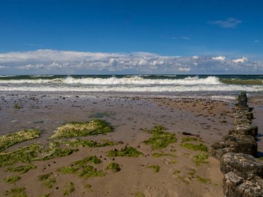 Baltık Denizi kıyısında ahşap dalgakıranlar
