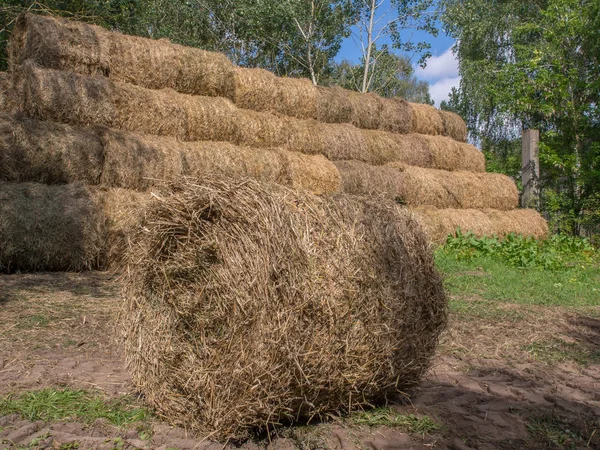 Big Bales Straw Organized Pyramid — Stock Photo, Image