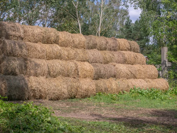 Velké Balíky Slámy Pyramidě — Stock fotografie