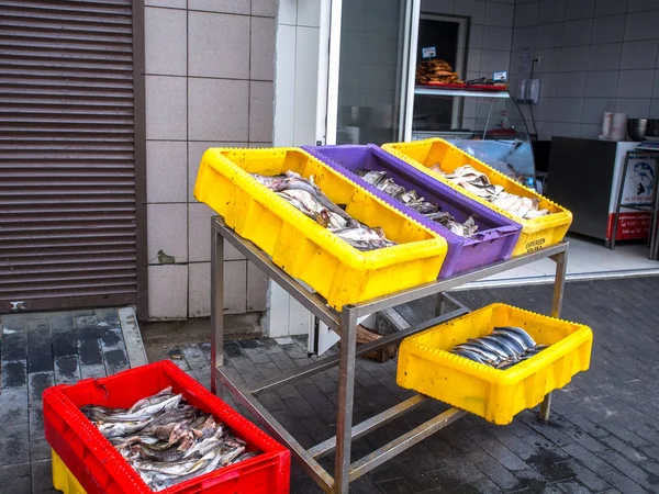 Freshly Caught Fish Yellow Boxes Fishing Port — Stock Photo, Image