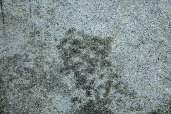 Antecedentes Textura de piedra cruda — Foto de Stock