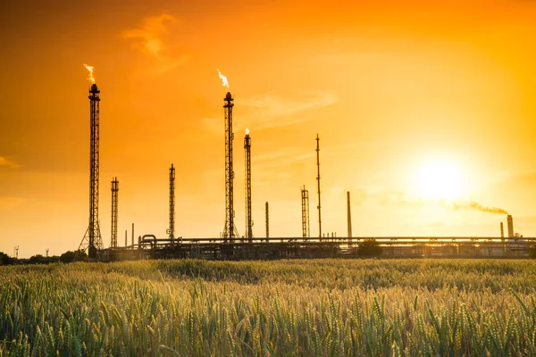 Нафтопереробний силует на помаранчевому заході сонця Стокова Картинка
