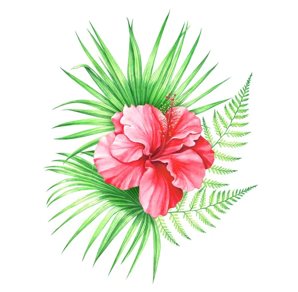Акварельная иллюстрация цветка гибискуса с пальмовыми листьями и папоротником на белом фоне . — стоковое фото