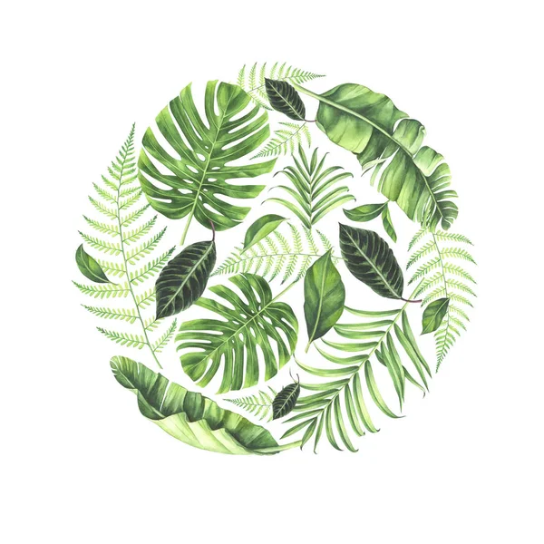 Akvarelu Kulatý rám s tropické listy izolované na bílém pozadí. — Stock fotografie
