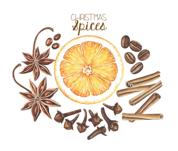 Set of Christmas spices isolated on white background. — Stock Photo, Image
