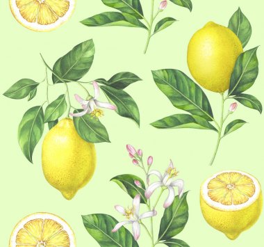 Açık yeşil renkli sulu boya limon desen