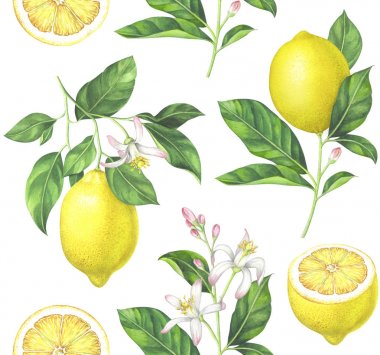 Beyaz zemin üzerine suluboya limon desen