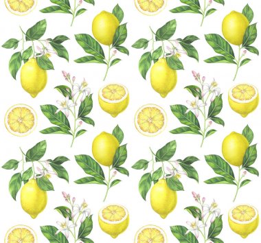 Beyaz zemin üzerine suluboya limon desen