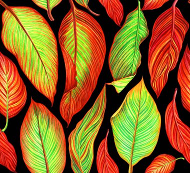 Siyah arka plan üzerinde renkli seamless modeli ile tropikal canna bırakır.