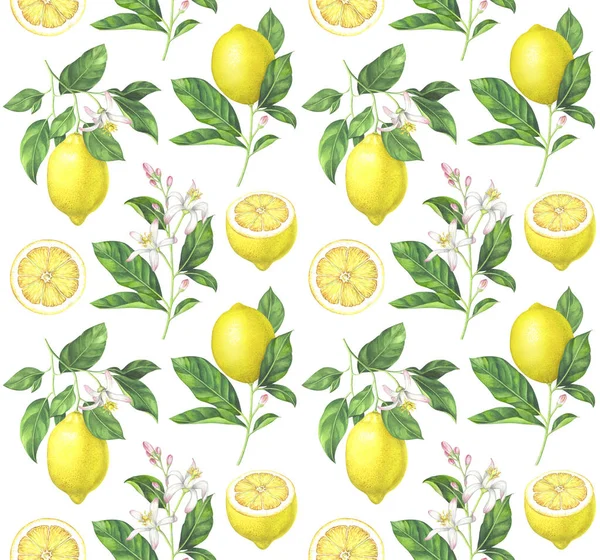 Watercolor lemon pattern on white background — Stock Photo, Image