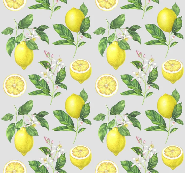 Watercolor lemon pattern on gray background — Stock Photo, Image